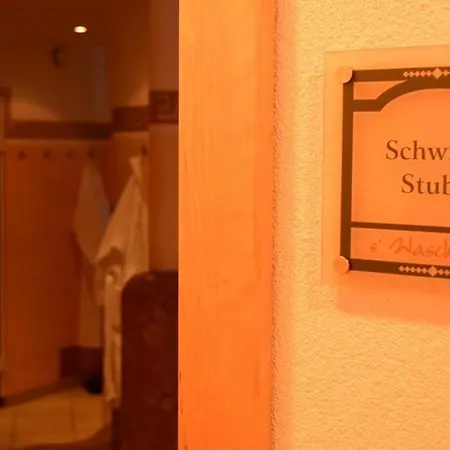 アパート Appartementhaus S'wascheless